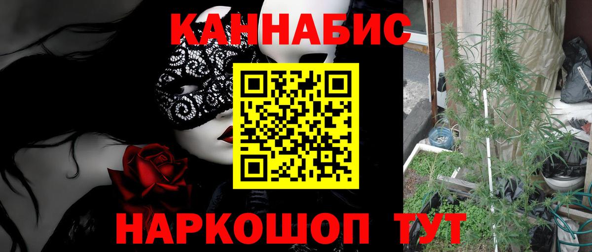 Канабис MAZAR  Бошки марихуана OG Kush  Иваново  Вход с VPN 